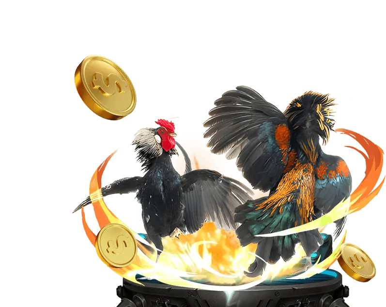 Ưu đãi hoàn trả cao